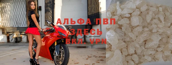 прущие грибы Семилуки