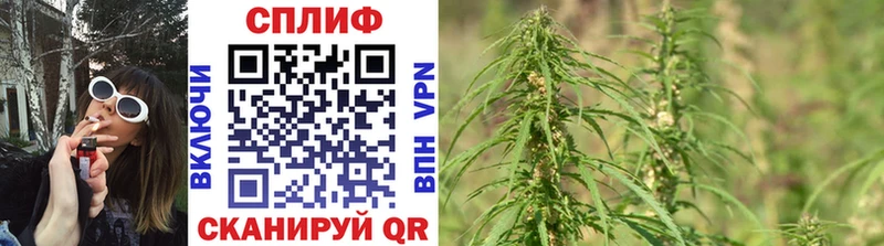 Канабис Ganja  Купить закладки  Кочубеевское 